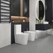 Безобідковий унітаз-компакт Koller Pool Grace 1808560199+1050680199 (GR-0650-RQ-C+GR-0650-RQ-T+KP-6001, з сидінням та гнучким підведенням), фото , изображение 3