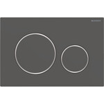 Смывная клавиша Geberit Sigma20 115.882.14.1 (черный матовый/хром), Цвет производителя: черный матовый, хром, фото 