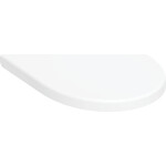 Безободковый подвесной унитаз Geberit Modo 502.788.00.1 (без сиденья), фото 2