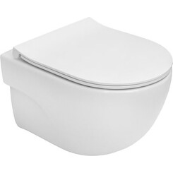 Безободковый подвесной унитаз Roca Meridian A34H242000 (c сиденьем), фото 