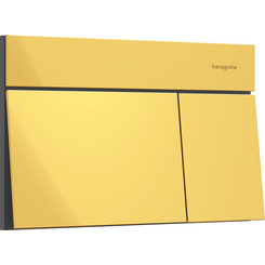 Кнопка змиву Hansgrohe iFrame Element E Polished Gold Optic 66003990 (золото), Колір виробника: золото, фото 