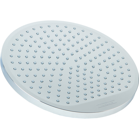 Душевая лейка Hansgrohe Crometta 26723000, фото 