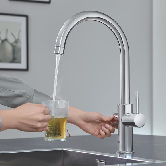 Смеситель с фильтром и бойлером Grohe Red 30083001, фото 3