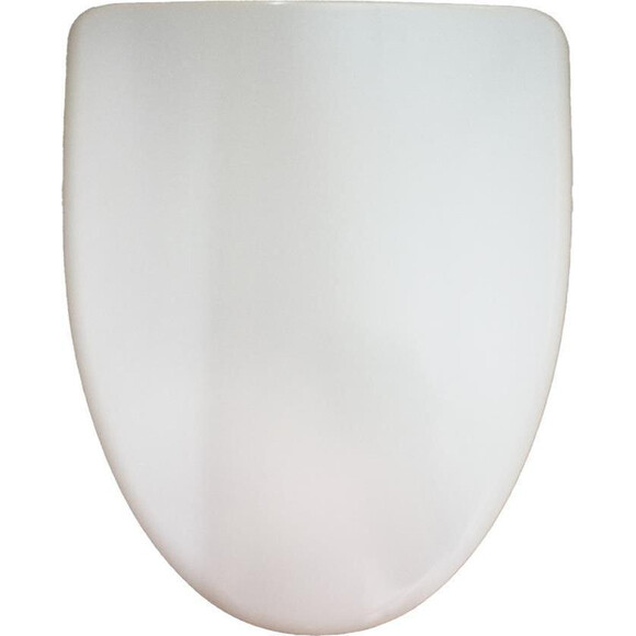 Сиденье для унитаза Am.Pm Bliss L C537851WH (с микролифтом), фото 2