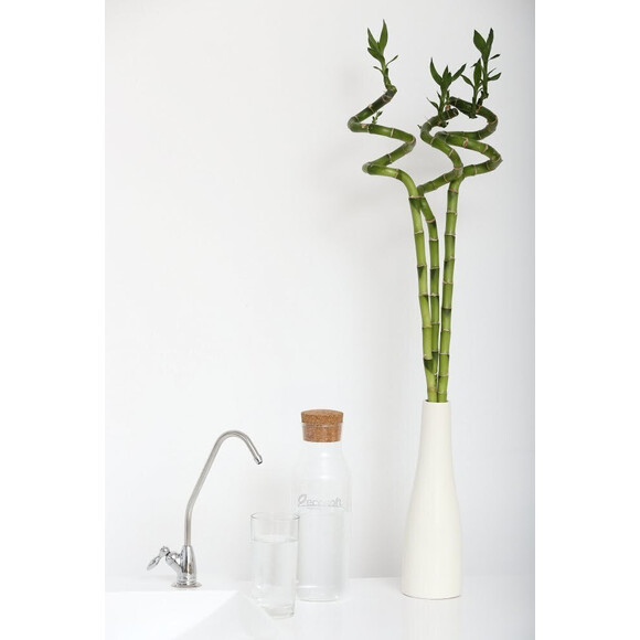 Фільтр зворотного осмосу Ecosoft Standard MO550ECOSTD, фото , изображение 10