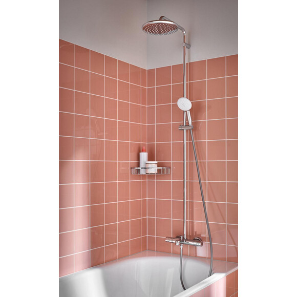 Душевая система с термостатом Grohe Tempesta 250 26672001 (с изливом), фото 2
