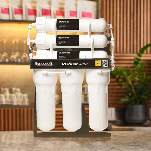 Фильтр обратного осмоса Ecosoft RObust Mini ROBUST1000STD, фото 4