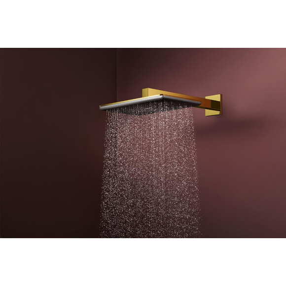 Верхній душ Hansgrohe Raindance Alive Q 2jet Polished Gold Optic 24550990 (золото, 2 режими струменя, з кронштейном), Колір виробника: золото, фото , изображение 2