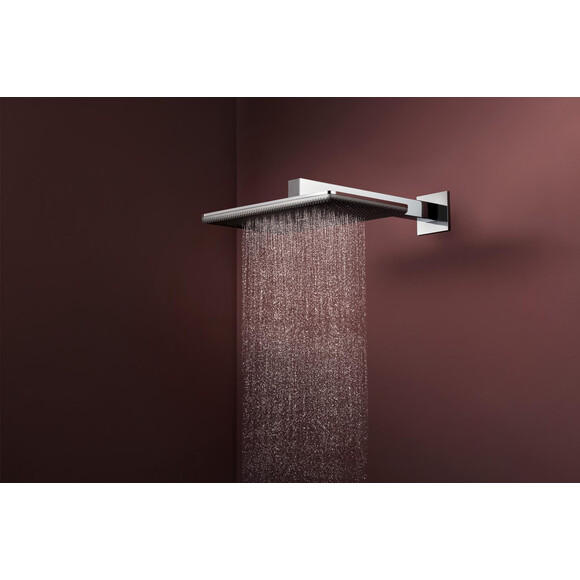 Верхній душ Hansgrohe Raindance Alive Q 2jet Chrome 24550000 (хром, 2 режими струменя, з кронштейном), Колір виробника: хром, фото , изображение 3