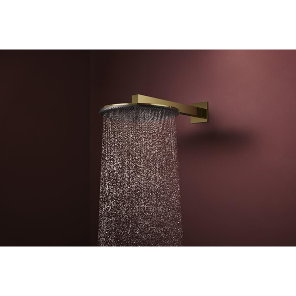 Верхній душ Hansgrohe Raindance Alive S 1jet Polished Gold Optic 24520990 (золото), Колір виробника: золото, фото , изображение 2