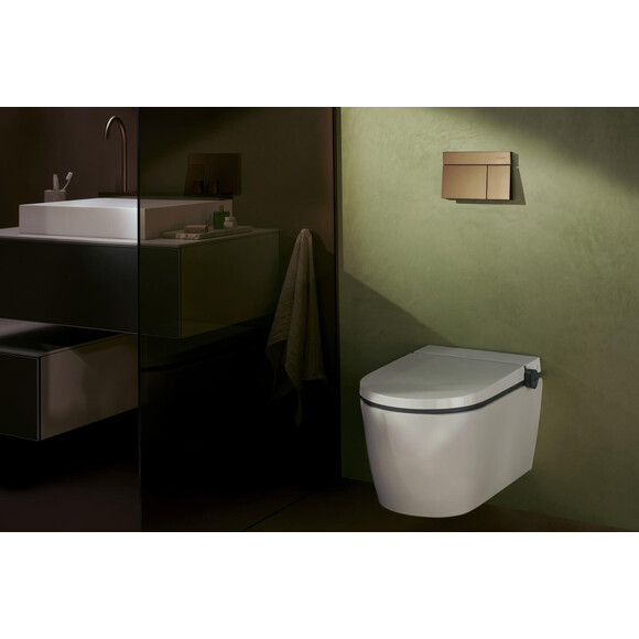 Кнопка смыва Hansgrohe iFrame Element E Brushed Bronze 66003140 (брашированная бронза), Цвет производителя: брашированная бронза, фото 4