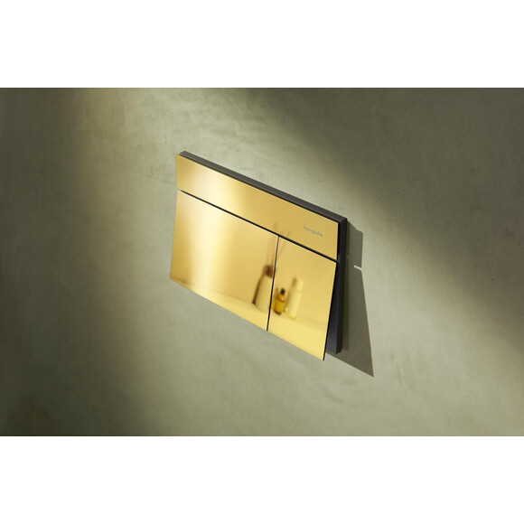 Кнопка смыва Hansgrohe iFrame Element E Polished Gold Optic 66003990 (золото), Цвет производителя: золото, фото 2