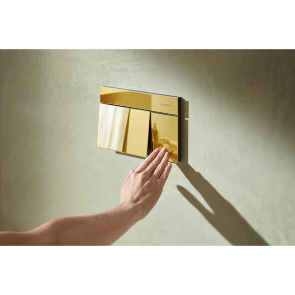 Кнопка смыва Hansgrohe iFrame Element E Polished Gold Optic 66003990 (золото), Цвет производителя: золото, фото 4