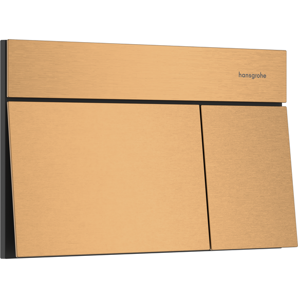 Кнопка смыва Hansgrohe iFrame Element E Brushed Bronze 66003140 (брашированная бронза), Цвет производителя: брашированная бронза, фото 