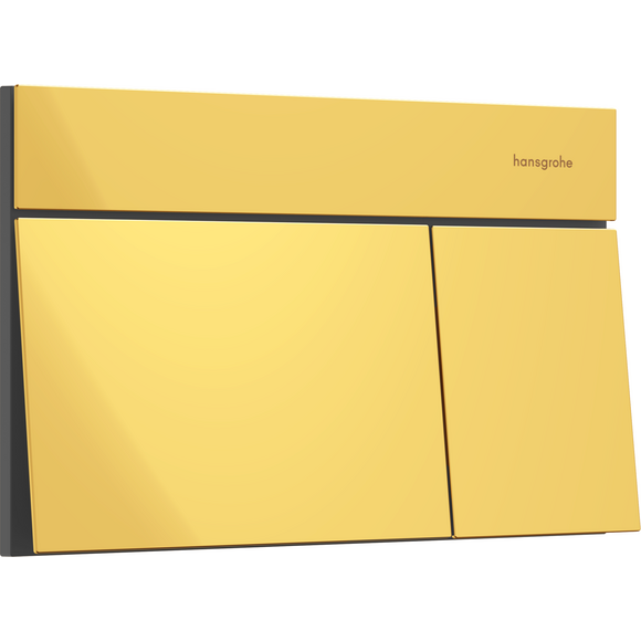 Кнопка смыва Hansgrohe iFrame Element E Polished Gold Optic 66003990 (золото), Цвет производителя: золото, фото 