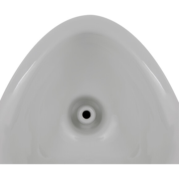 Писсуар подвесной Qtap Crow QT0588112HW, фото 4