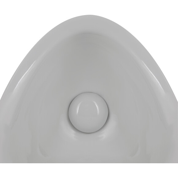 Писсуар подвесной Qtap Crow QT0588112HW, фото 5