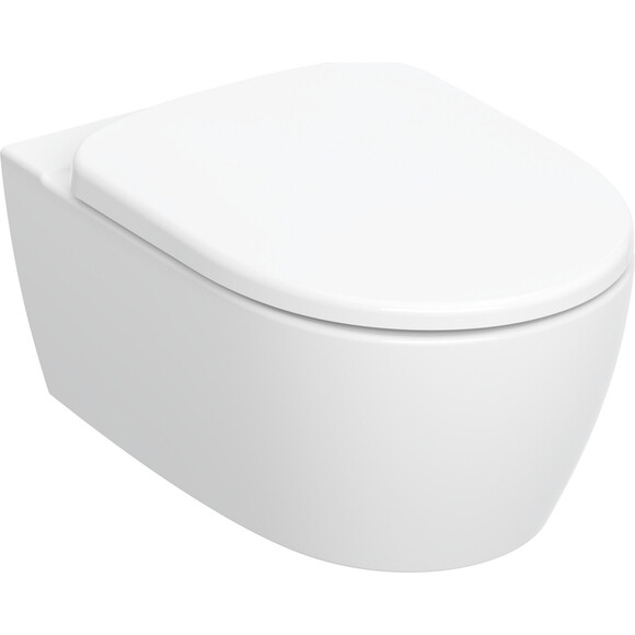 Безобідковий підвісний унітаз Geberit Smyle Round Rimfree 503.226.01.1 (воронкоподібний, з сидінням), фото 
