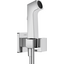 Гигиенический душ с вентилем Hansgrohe E EcoSmart Chrome 29231000 (на холодную воду), фото 