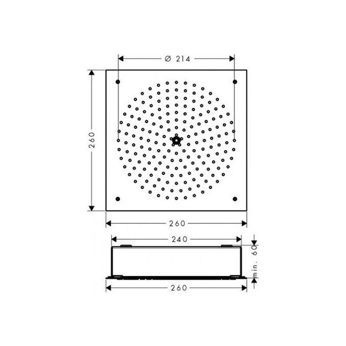 Душевая лейка Hansgrohe Raindance 26472000, фото 2