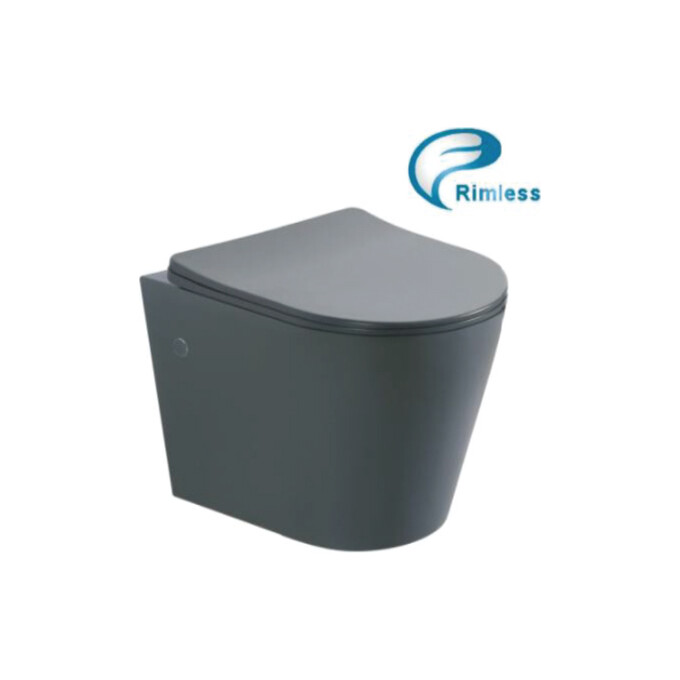 Безободковый подвесной унитаз Asignatura Axiom Rimless 97802806 (с сиденьем, серый матовый), фото 