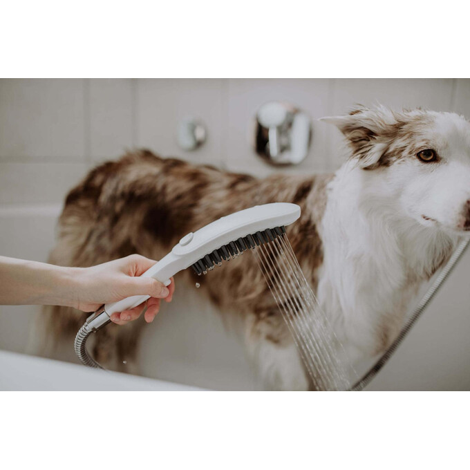 Лейка для душа Hansgrohe DogShower 150 Matt White 26640700 (белая матовая, трехрежимная), фото 2