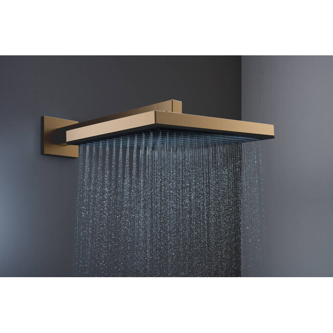 Верхний душ Hansgrohe Pulsify E Brushed Bronze 24330140 (брашированный бронзовый), Цвет производителя: брашированная бронза, фото 3