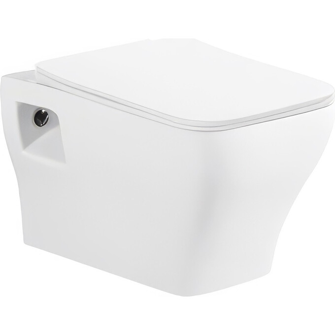 Подвесной унитаз RJ Flex RJCE03004 (с сиденьем), фото 