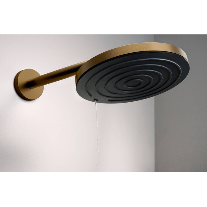 Верхний душ Hansgrohe Pulsify S 260 Brushed Bronze 24140140 (брашированная бронза), Цвет производителя: брашированная бронза, фото 2