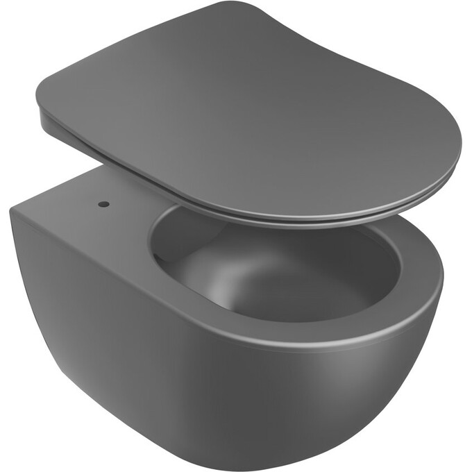 Сиденье для унитаза Ravak Uni Chrome Flat X01795 (c микролифтом, черное), фото 3