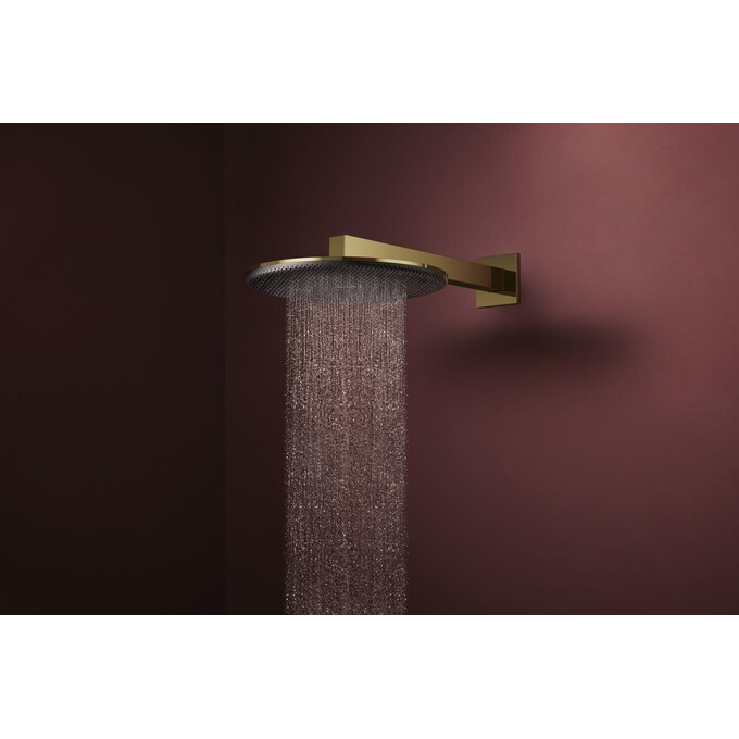 Верхний душ Hansgrohe Raindance Alive S 2jet Polished Gold Optic 24540990 (золото, 2 режима струи, с кронштейном), Цвет производителя: золото, фото 3