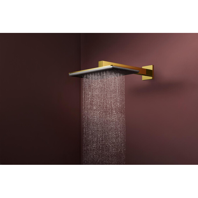 Верхний душ Hansgrohe Raindance Alive Q 2jet Polished Gold Optic 24550990 (золото, 2 режима струи, с кронштейном), Цвет производителя: золото, фото 3