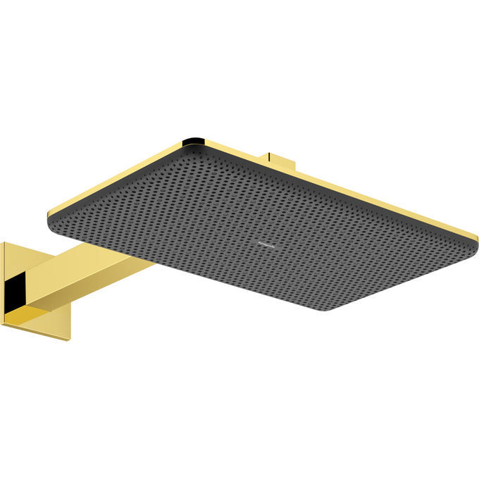 Верхний душ Hansgrohe Raindance Alive Q 2jet Polished Gold Optic 24550990 (золото, 2 режима струи, с кронштейном), Цвет производителя: золото, фото 