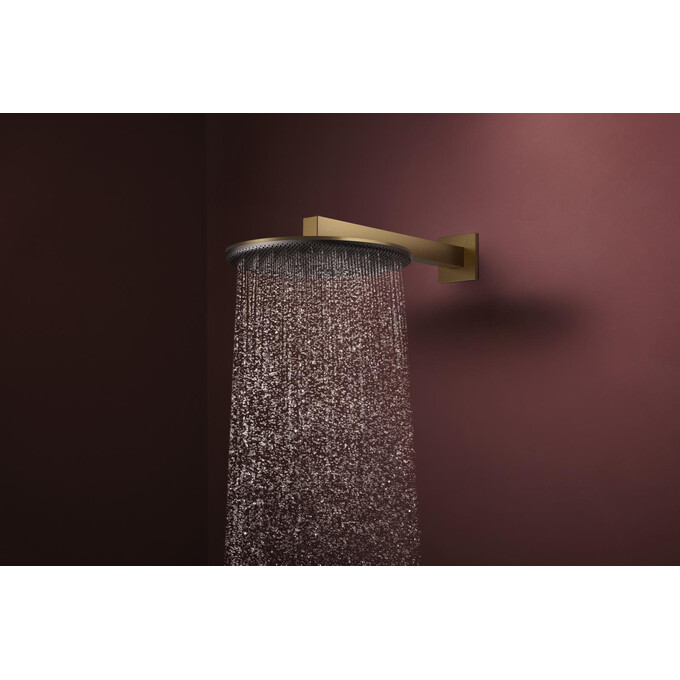 Верхний душ Hansgrohe Raindance Alive S 1jet Brushed Bronze 24520140 (брашированная бронза), Цвет производителя: брашированная бронза, фото 2