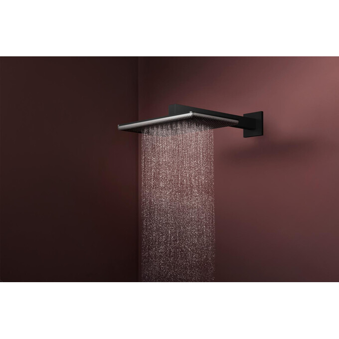 Верхний душ Hansgrohe Raindance Alive Q 1jet Matt Black 24530670 (черный матовый), Цвет производителя: черный матовый, фото 3