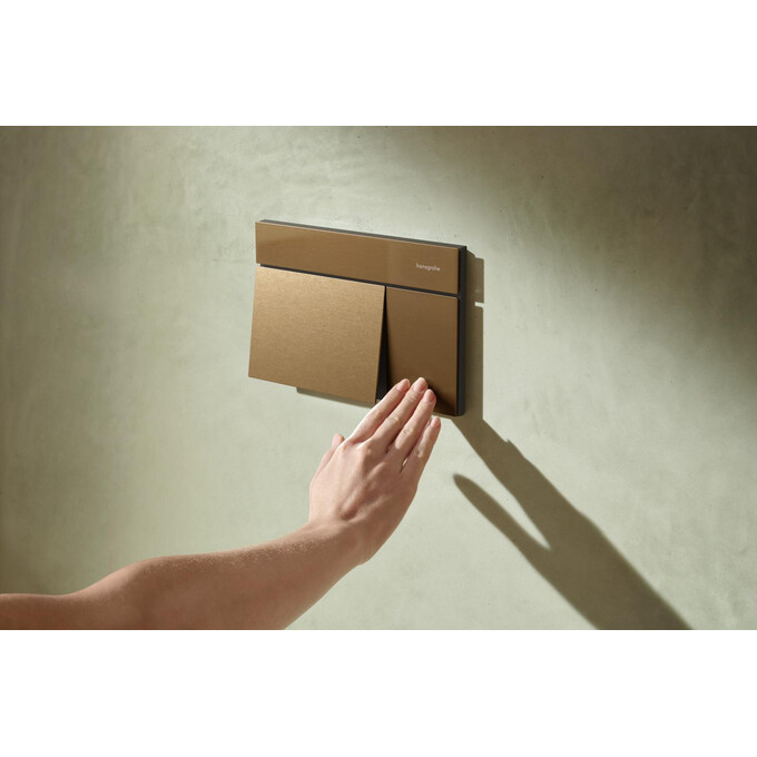Кнопка змиву Hansgrohe iFrame Element E Brushed Bronze 66003140 (брашована бронза), Колір виробника: брашована бронза, фото , изображение 2