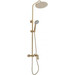 Душевая система Rea Roger Gold REA-P0692 (золотая), фото 4