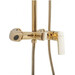 Душевая система Rea Roger Gold REA-P0692 (золотая), фото 5
