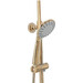 Душевая система Rea Roger Gold REA-P0692 (золотая), фото 6