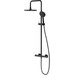 Термостатическая душевая система Damixa Option DX218091300 (черная матовая), фото 