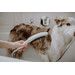 Лейка для душа Hansgrohe DogShower 150 Matt White 26640700 (белая матовая, трехрежимная), фото 2