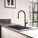 Кухонная мойка Hansgrohe S51 Graphiteblack 43313170 (77x51 см, черный графит), Доступные размеры: 77 x 51, Цвет производителя: черный графит, фото 2