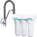 Набор для кухни 2 в 1: смеситель для кухни Am.Pm Like F8007802 + тройной фильтр Ecosoft Standard FMV3ECOSTD, фото 
