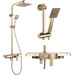 Душевая система Rea Bravo Brushed Gold REA-P4121 (брашированное золотая, с изливом и полкой), Цвет производителя: брашированное золото (матовое), фото 2