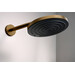 Верхний душ Hansgrohe Pulsify S 260 Brushed Bronze 24140140 (брашированная бронза), Цвет производителя: брашированная бронза, фото 2