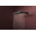 Верхний душ Hansgrohe Raindance Alive Q 2jet Brushed Black Chrome 24550340 (брашированный черный хром, 2 режима струи, с кронштейном), Цвет производителя: брашированный черный хром, фото 2