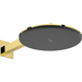 Верхний душ Hansgrohe Raindance Alive S 2jet Polished Gold Optic 24540990 (золото, 2 режима струи, с кронштейном), Цвет производителя: золото, фото 