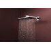 Верхний душ Hansgrohe Raindance Alive Q 1jet Chrome 24530000 (хром), Цвет производителя: хром, фото 2