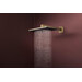 Верхний душ Hansgrohe Raindance Alive Q 1jet Brushed Bronze 24530140 (брашированная бронза), Цвет производителя: брашированная бронза, фото 3
