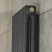 Вертикальний радіатор Navin Calidum 2-8 Black 02-254004-3818 (38x180, чорний муар), Колір виробника: чорний муар, фото , изображение 5